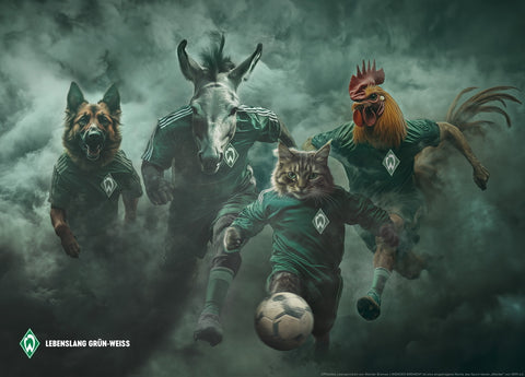 Poster Werder Bremen rockt!