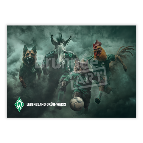 Werder Bremen rockt! Die Fan-Postkarte